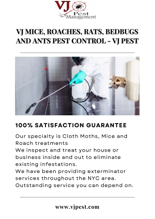 Eco-Friendly Pest Control Services | VJ Pest Management NYC