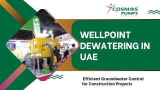 wellpoint dewatering in UAE- cosmos pumps