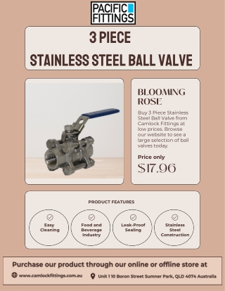 3 Piece Stainless Steel Ball Valve – Camlock Fittings