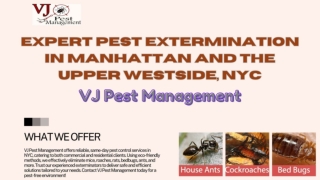 Expert Pest Extermination in Manhattan and the Upper Westside, NYC