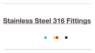 Stainless Steel 316 Fittings