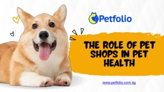 The Role of Pet Shops in Pet Health