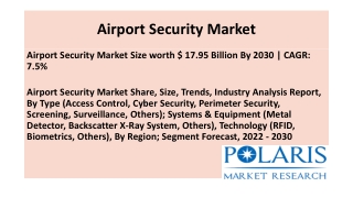 Airport Security Market