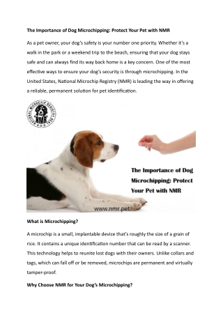 The Importance of Dog Microchipping Protect Your Pet with NMR