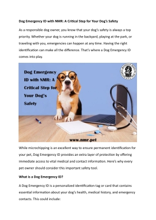 Dog Emergency ID with NMR A Critical Step for Your Dog’s Safety