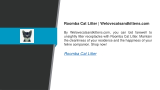 Roomba Cat Litter  Welovecatsandkittens.com