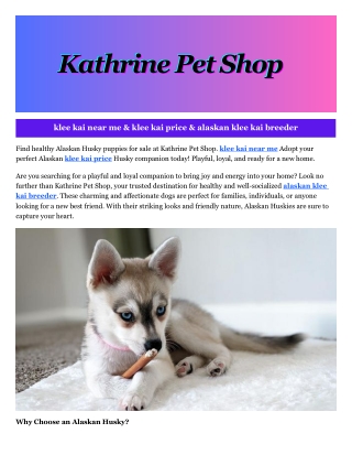 klee kai price