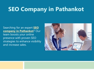 SEO Company in Pathankot