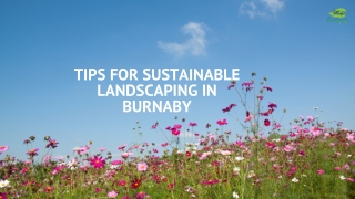 Tips for Sustainable Landscaping in Burnaby