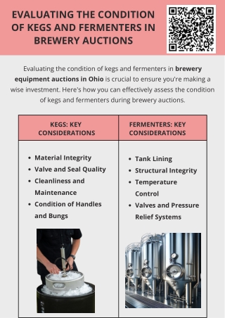 Evaluating The Condition Of Kegs And Fermenters In Brewery Auctions