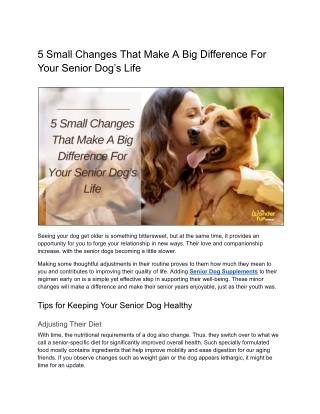 5 Small Changes That Make A Big Difference For Your Senior Dog’s Life