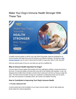 Make Your Dog’s Immune Health Stronger With These Tips