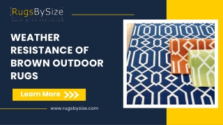 Weather Resistance of Brown Outdoor Rugs