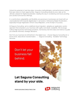 Saguna Consulting