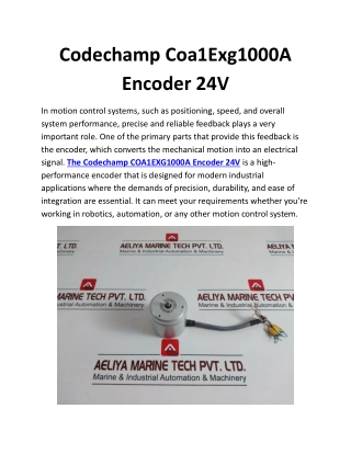 Codechamp Coa1Exg1000A Encoder 24V (1)