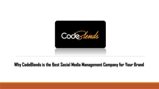 Why CodeBlends is the Best Social Media Management Company for Your Brand