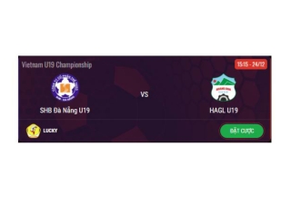 Trực tiếp SHB Đà Nẵng U19 vs HAGL U19 luc 15h15 ngay 24/12/2024