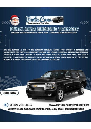 Transfers from the cruise port in Punta Cana | puntacanalimotransfer.com