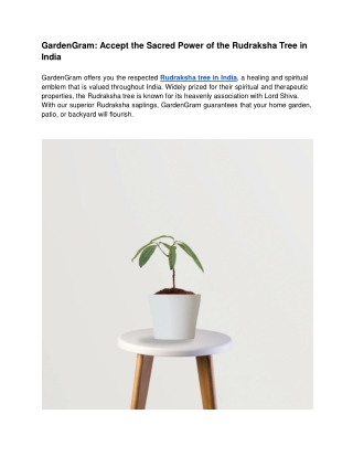 GardenGram_ Accept the Sacred Power of the Rudraksha Tree in India