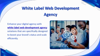 White Label Web Development Agency