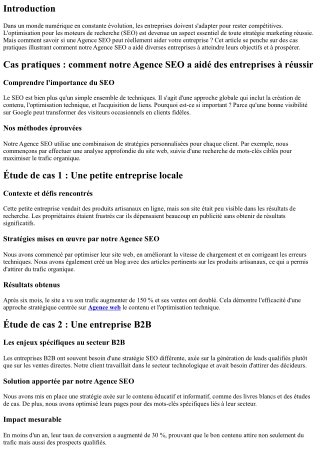 Cas pratiques : comment notre Agence SEO a aidé des entreprises à réussir
