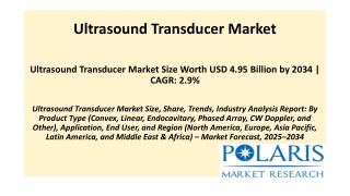 Ultrasound Transducer Market