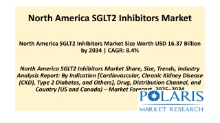 North America SGLT2 Inhibitors Market
