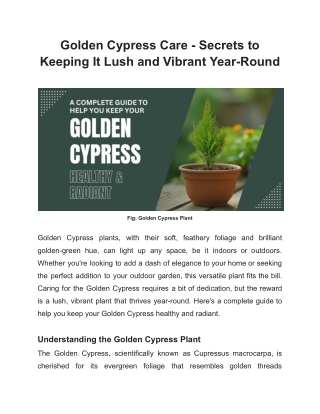 Golden Cypress Care - Secrets to Keeping It Lush and Vibrant Year-Round