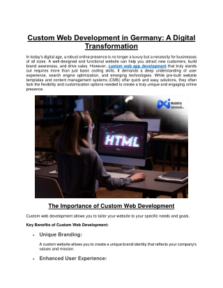 Custom Web Development in Germany