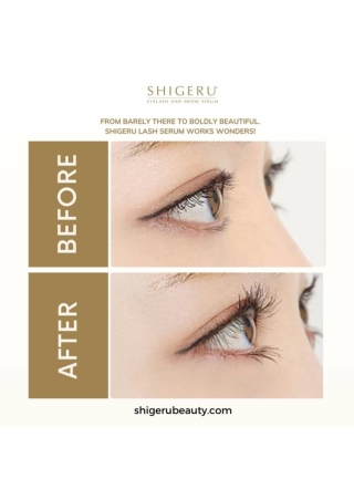 Lash Growth Before and After- Shigeru Beauty.pdf