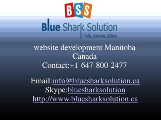 Website development Manitoba – increase your online trends