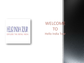 Private Tours | Hello India Tour
