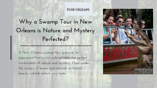 Book Your New Orleans Swamp Tour Today and Discover the Bayou!