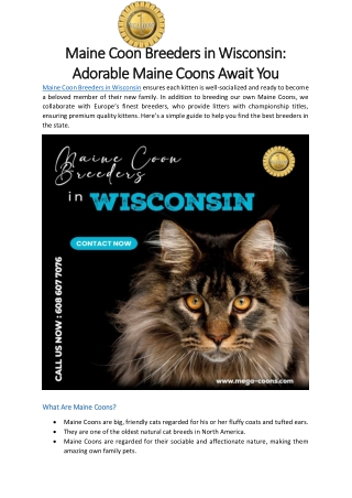 Maine Coon Breeders in Wisconsin- Adorable Maine Coons Await You