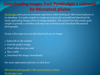 Downloading images from Purebudget a cakewalk for Microstock
