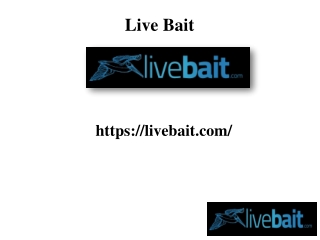 Best 8 Foot Cast Fishing Net, livebait.com