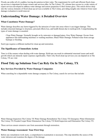 Flood Clean Up Solutions You Can Count On In The Colony, Tx
