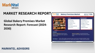 Global Bakery Premixes Market Research Report: Forecast (2024-2030)