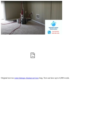 Mold Inspection Services Available in The Colony TX: What to Look For