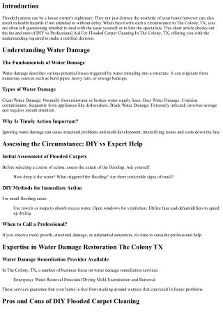 DIY vs Expert Aid For Flooded Carpet Cleaning In THe colony, Tx