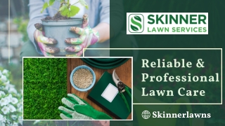 Landscaping Jacksonville - Skinner Lawns