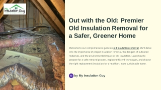 Out with the Old: Premier Old Insulation Removal for a Safer, Greener Home