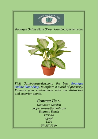 Boutique Online Plant Shop | Gamboasgarden.com