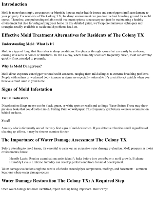 Effective Mold Treatment Options for Residents of The Colony TX
