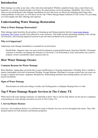 Top 5 Water Damage Restoration Services in The Colony TX