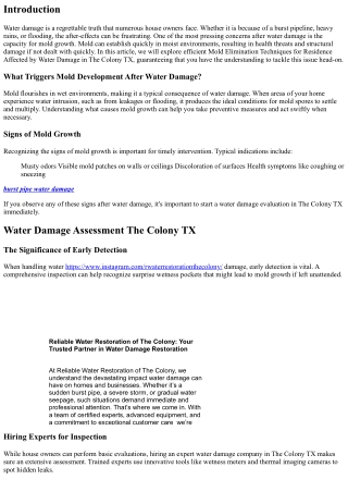 Mold Removal Techniques for Homes Impacted by Water Damage in The Colony TX