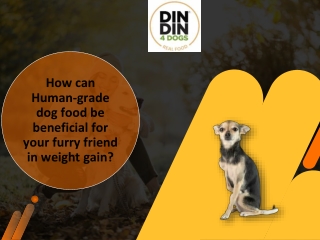 How can Human-grade dog food be beneficial for your furry friend in weight gain