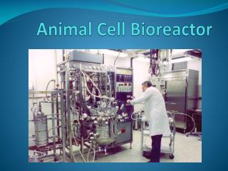 Animal Cell Bioreactor