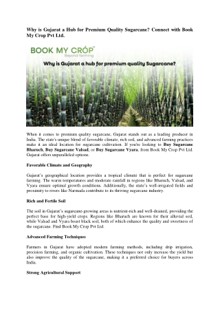 Why is Gujarat a Hub for Premium Quality Sugarcane? Connect with Book My Crop Pv