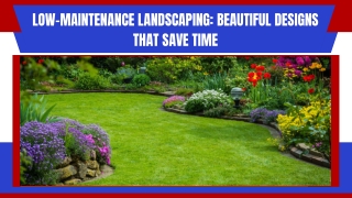 Professional Landscaping for Beautiful Garden